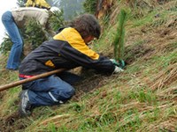 Se mobiliser pour la forêt de montagne