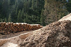 Un Prix pour les forêts de protection