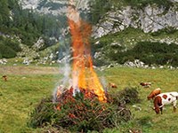 Marketing, scies et moutons pour la protection des alpages