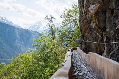 Bisses, rayes, Waale