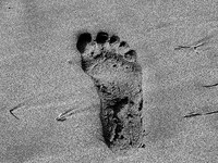 Ce que les Alpes attendent de l’Europe