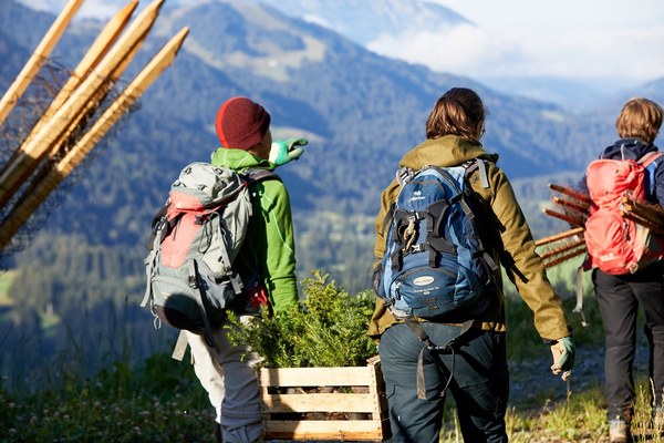 Crise climatique : des solutions fondées sur la nature