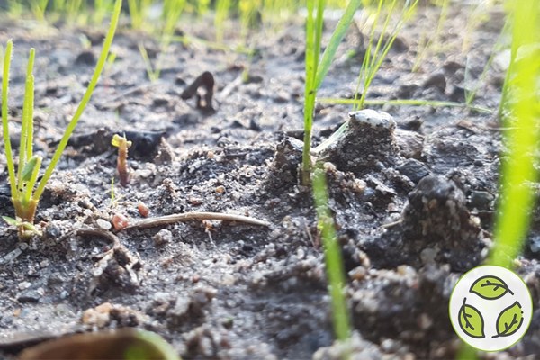 Économiser les terres, sauver les sols