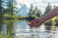 H2O : un bien précieux, puissant et vulnérable