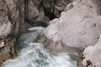 La véritable richesse des Alpes