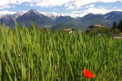Les Alpes italiennes entre ombre et lumière