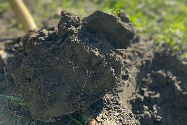 L’UE veut des sols en bonne santé d’ici 2050