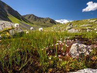 Peu d’avantages, beaucoup de dégâts : critique des projets hydroélectriques dans la vallée de Kaunertal/A