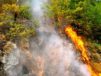 Sécheresse et feux de forêts dans les Alpes piémontaises