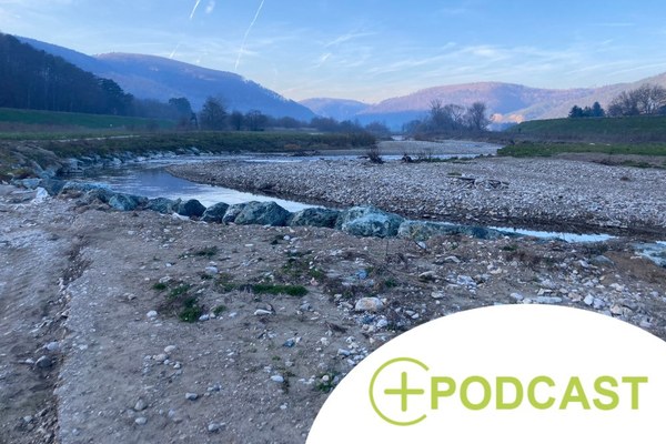 Trop ou trop peu d’eau : sortie dans la forêt Wienerwald