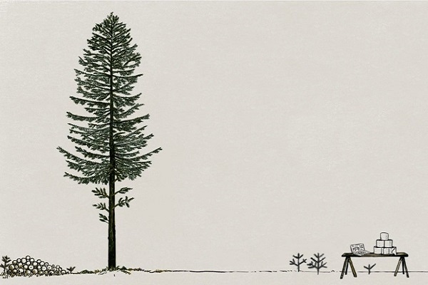 Un arbre a sept vies