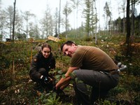 Un modèle de management pour Jelovica