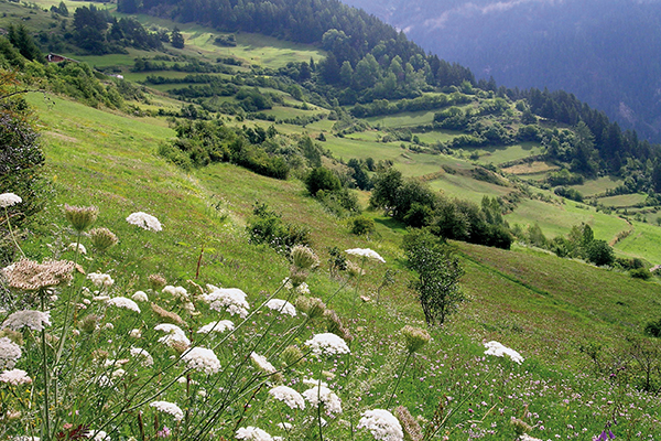 Un système d’échange régional