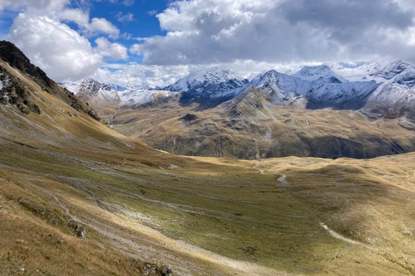 AlpsLife – observer globalement, agir localement