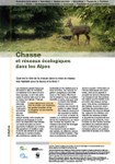 Chasse et réseaux écologiques dans les Alpes
