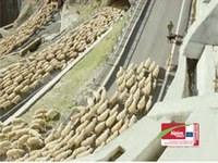 Webs of Life - Alpine biodiversity needs ecological connectivity