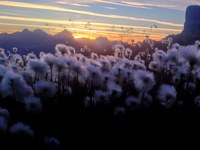 Gestione dei flussi di visitatori nelle Alpi