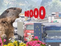 NO al raddoppio del traforo autostradale del San Gottardo!