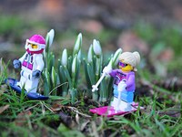 Comportamento dei turisti