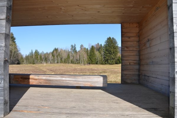 Riflettori puntati sulla torbiera