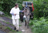 Conservazione di razze di bestiame produttivo e da reddito e piante coltivate tradizionali