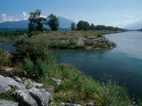 Appello per l'attuazione del programma di sviluppo "Futuro Reno Alpino"