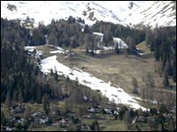 Impianti sciistici e neve artificiale minacciano la molteplicità di piante