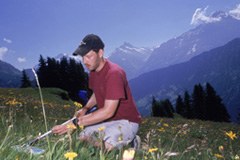 La concimazione altera a lungo termine gli ecosistemi alpini