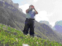 Forum per la cultura popolare contemporanea in Svizzera