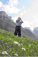 Forum per la cultura popolare contemporanea in Svizzera