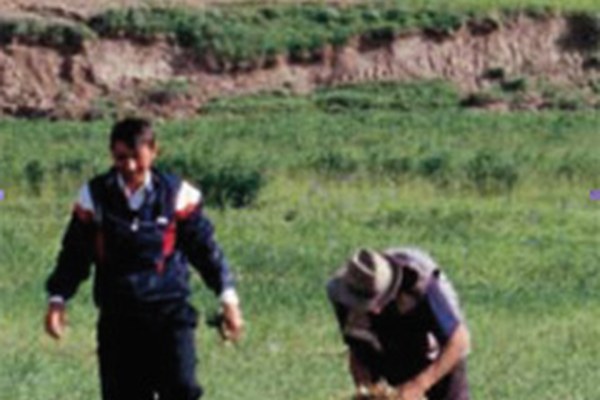 Giornata internazionale delle montagne sul tema della biodiversità