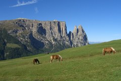 Giralpeggi: il turismo degli alpeggi