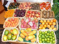 Una casa tropicale grazie all'acqua che sgorga dalla montagna