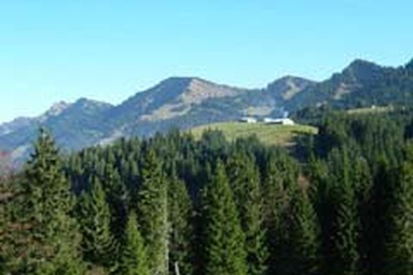 Vertice transfrontaliero dei Verdi