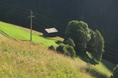 Quale agricoltura per l'Europa?