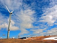 Slovenia: sfruttamento dell'energia eolica e protezione degli uccelli