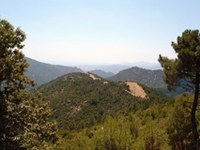 La riforma degli enti pubblici in Italia mette a rischio i parchi nazionali