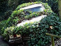 Siti interessanti per i comuni