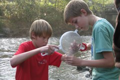 Move it! Arge Alp mobilita i giovani