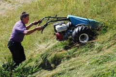 Svizzera: più contributi per gli agricoltori di montagna e biologici