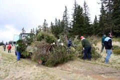 Slovenia: interventi per conservare il paesaggio culturale nelle Prealpi
