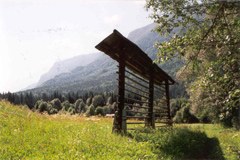 Kranjska Gora/SI: Pronti - attenti - verde!