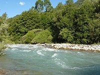 Rio Ram: idroelettrico o biosfera?