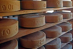 L'UE vuole una maggior tutela per i prodotti delle regioni di montagna