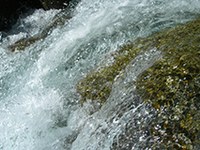 Affinché l'acqua delle Alpi sia sufficiente per tutti