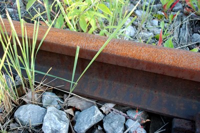 Mobilitazione per le ferrovie regionali dimenticate