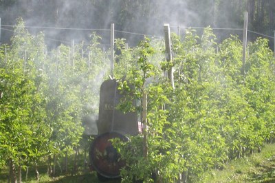 È necessario ridurre l’impiego di pesticidi