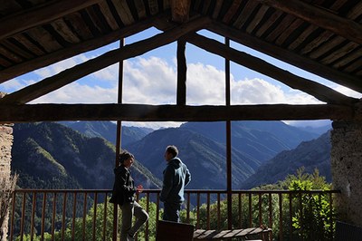 I-LivAlps: conclusione con prospettive future