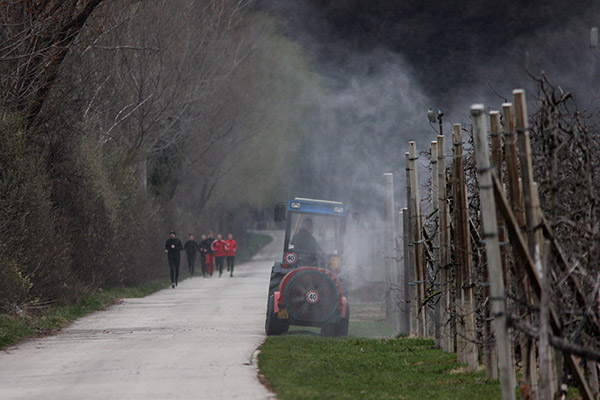 Parchi gioco contaminati