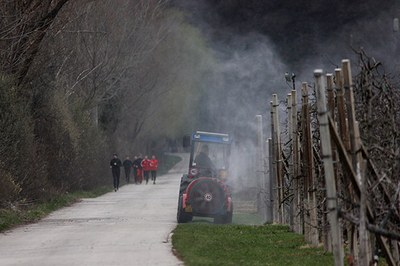 Parchi gioco contaminati